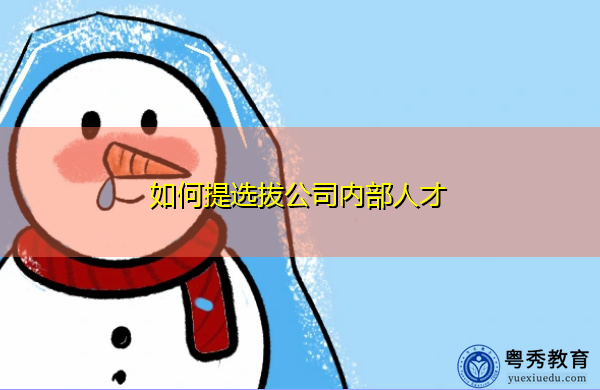 如何提选拔公司内部人才