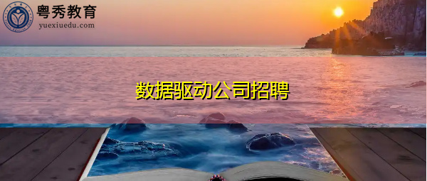 数据驱动公司招聘 数据驱动公司招聘