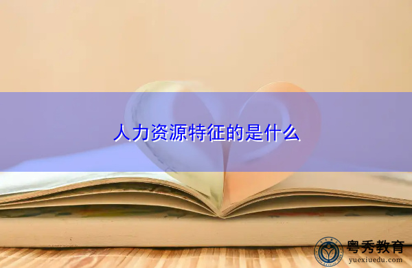 人力资源特征的是什么 人力资源特征的是什么