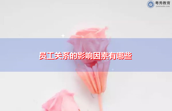 员工关系的影响因素有哪些 员工关系的影响因素有哪些