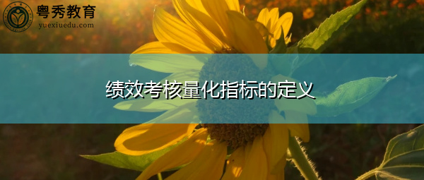 绩效考核量化指标的定义 绩效考核量化指标的定义