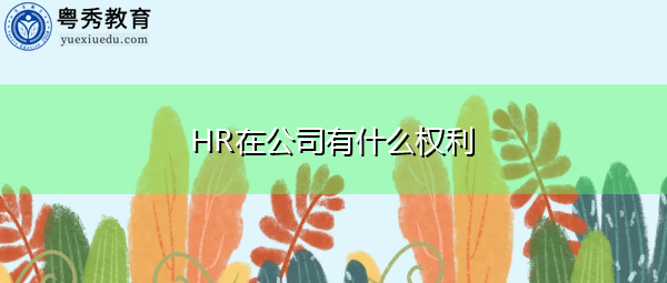 HR在公司有什么权利 HR在公司有什么权利
