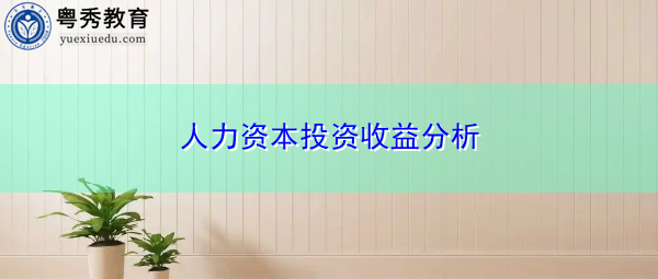 人力资本投资收益分析 人力资本投资收益分析