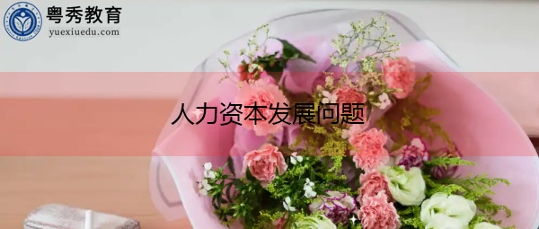 人力资本发展问题