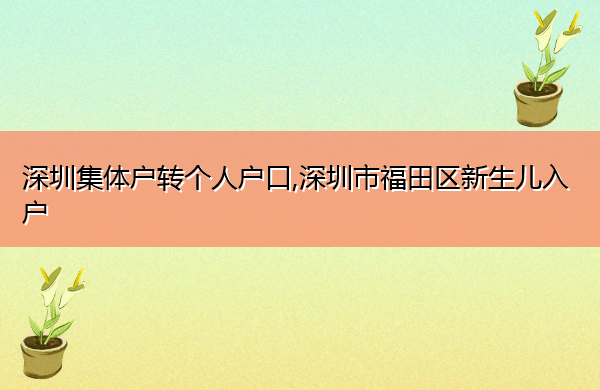 深圳集体户转个人户口,深圳市福田区新生儿入户