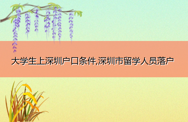 大学生上深圳户口条件,深圳市留学人员落户 大学生上深圳户口条件,深圳市留学人员落户