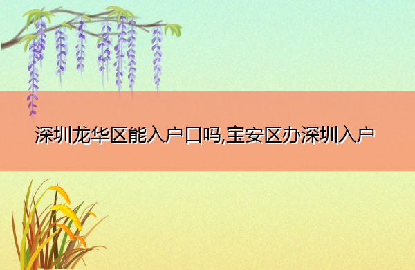 深圳龙华区能入户口吗,宝安区办深圳入户 深圳龙华区能入户口吗,宝安区办深圳入户