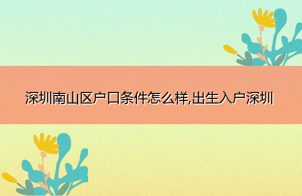深圳南山区户口条件怎么样,出生入户深圳 深圳南山区户口条件怎么样,出生入户深圳