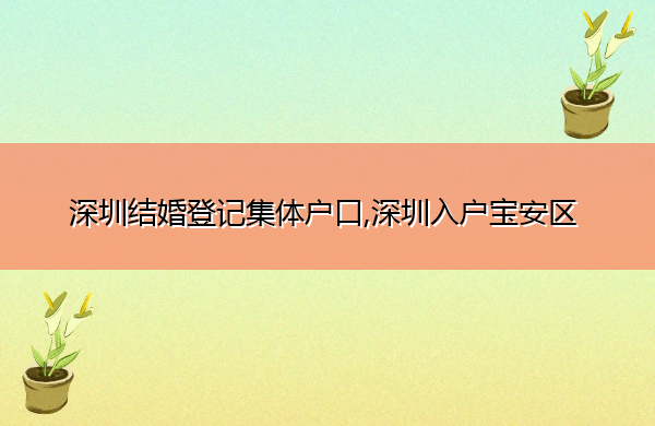 深圳结婚登记集体户口,深圳入户宝安区