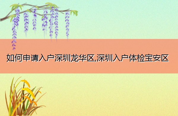 如何申请入户深圳龙华区,深圳入户体检宝安区 如何申请入户深圳龙华区,深圳入户体检宝安区