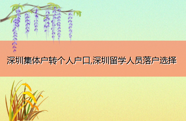 深圳集体户转个人户口,深圳留学人员落户选择