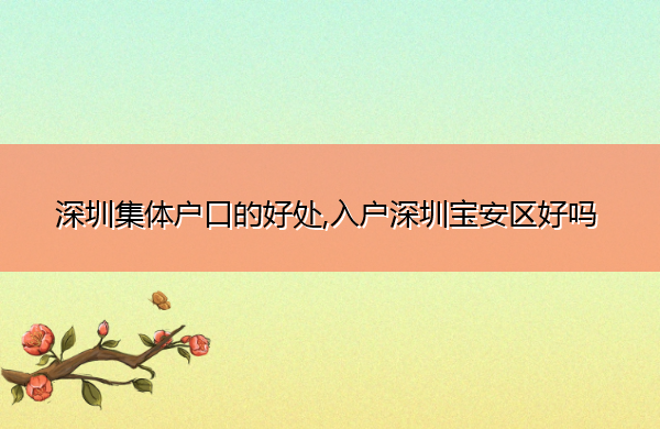 深圳集体户口的好处,入户深圳宝安区好吗