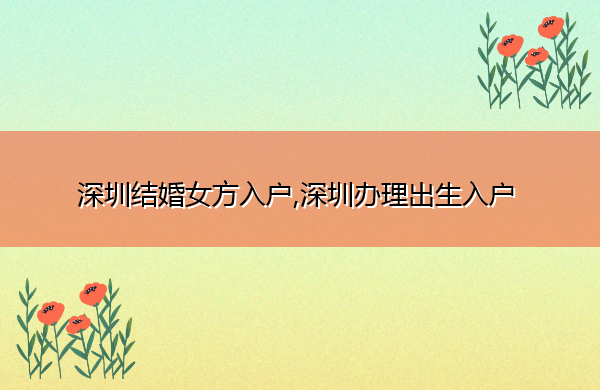 深圳结婚女方入户,深圳办理出生入户
