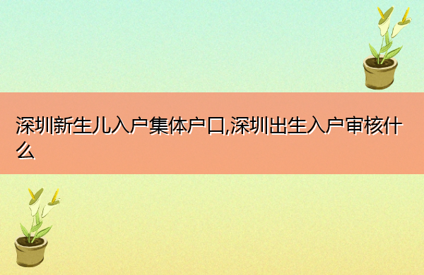 深圳新生儿入户集体户口,深圳出生入户审核什么