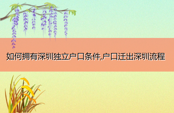 如何拥有深圳独立户口条件,户口迁出深圳流程