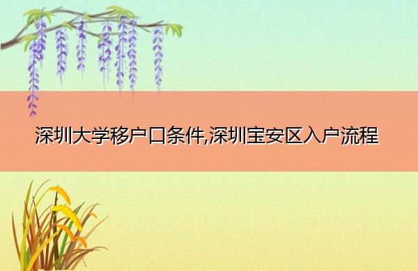 深圳大学移户口条件,深圳宝安区入户流程 深圳大学移户口条件,深圳宝安区入户流程