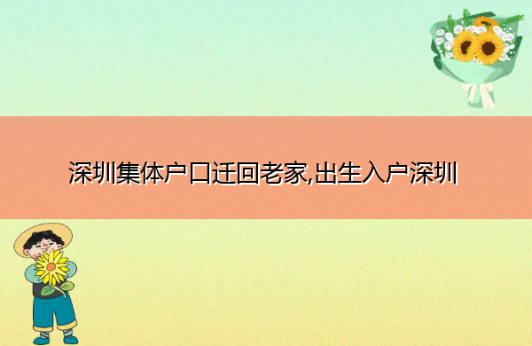 深圳集体户口迁回老家,出生入户深圳 深圳集体户口迁回老家,出生入户深圳