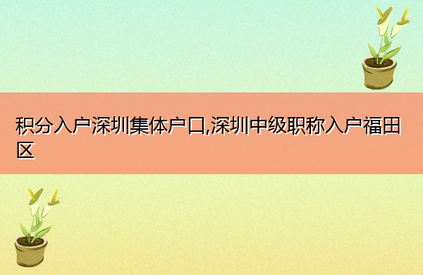 积分入户深圳集体户口,深圳中级职称入户福田区