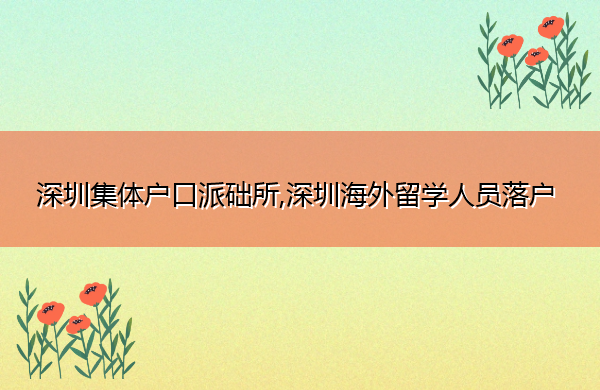 深圳集体户口派础所,深圳海外留学人员落户