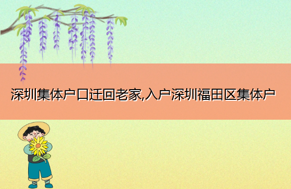 深圳集体户口迁回老家,入户深圳福田区集体户