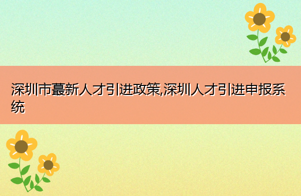 深圳市蕞新人才引进政策,深圳人才引进申报系统