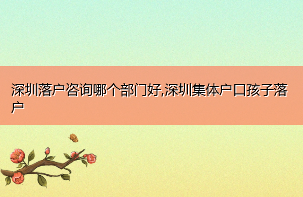 深圳落户咨询哪个部门好,深圳集体户口孩子落户 深圳落户咨询哪个部门好,深圳集体户口孩子落户