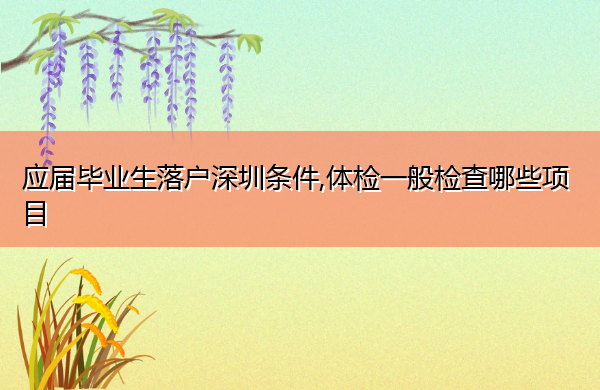 应届毕业生落户深圳条件,体检一般检查哪些项目 应届毕业生落户深圳条件,体检一般检查哪些项目