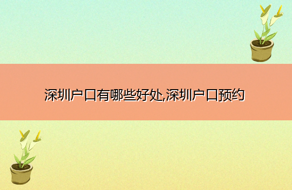 深圳户口有哪些好处,深圳户口预约