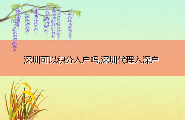 深圳可以积分入户吗,深圳代理入深户 深圳可以积分入户吗,深圳代理入深户