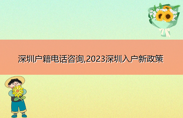 深圳户籍电话咨询,2023深圳入户新政策