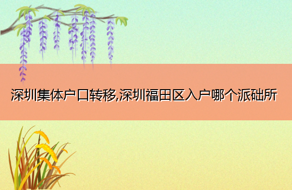 深圳集体户口转移,深圳福田区入户哪个派础所