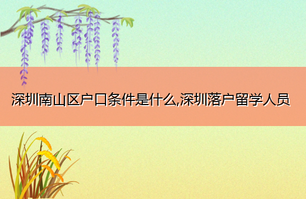 深圳南山区户口条件是什么,深圳落户留学人员