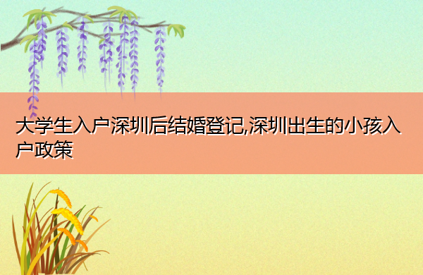 大学生入户深圳后结婚登记,深圳出生的小孩入户政策 大学生入户深圳后结婚登记,深圳出生的小孩入户政策