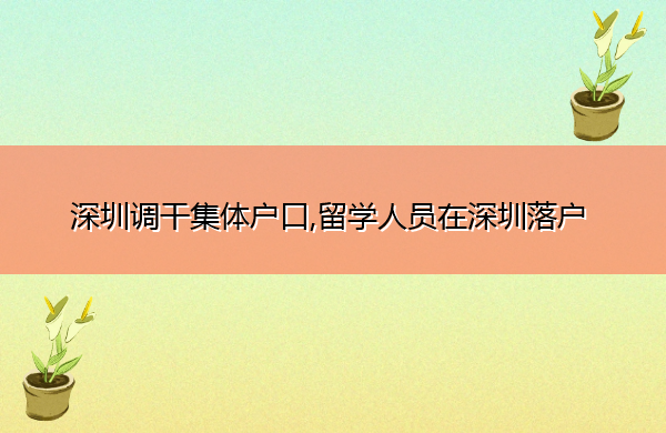 深圳调干集体户口,留学人员在深圳落户 深圳调干集体户口,留学人员在深圳落户