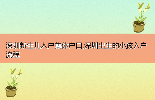 深圳新生儿入户集体户口,深圳出生的小孩入户流程 深圳新生儿入户集体户口,深圳出生的小孩入户流程