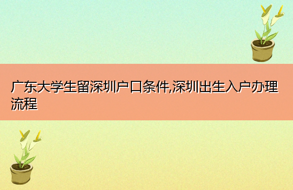 广东大学生留深圳户口条件,深圳出生入户办理流程