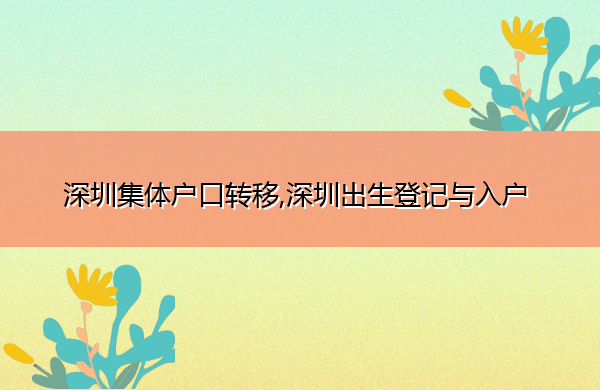 深圳集体户口转移,深圳出生登记与入户 深圳集体户口转移,深圳出生登记与入户