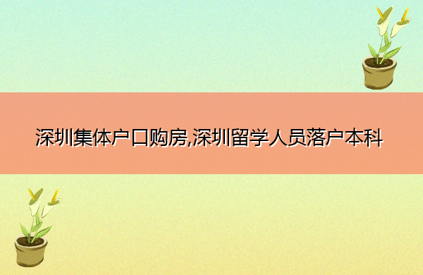 深圳集体户口购房,深圳留学人员落户本科 深圳集体户口购房,深圳留学人员落户本科