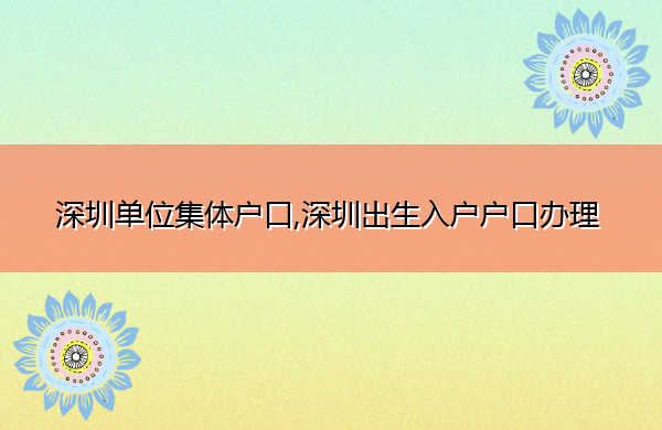 深圳单位集体户口,深圳出生入户户口办理