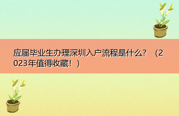 应届毕业生办理深圳入户流程是什么?(2023年值得收藏!) 应届毕业生办理深圳入户流程是什么?(2023年值得收藏!)
