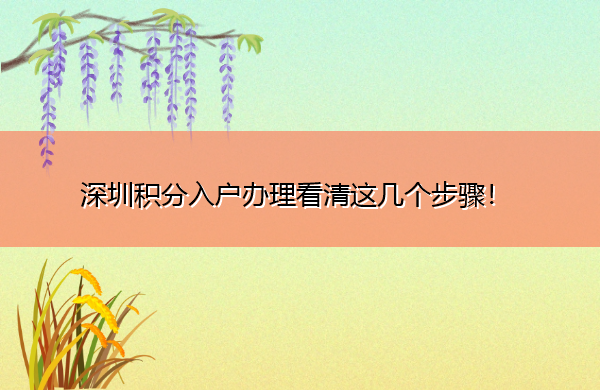 深圳积分入户办理看清这几个步骤! 深圳积分入户办理看清这几个步骤!