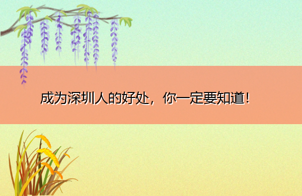 成为深圳人的好处,你一定要知道! 成为深圳人的好处,你一定要知道!