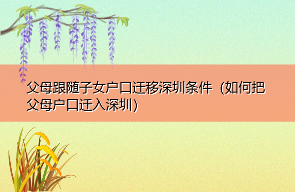 父母跟随子女户口迁移深圳条件（如何把父母户口迁入深圳）
