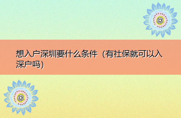 想入户深圳要什么条件(有社保就可以入深户吗) 想入户深圳要什么条件(有社保就可以入深户吗)