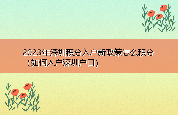 2023年深圳积分入户新政策怎么积分(如何入户深圳户口) 2023年深圳积分入户新政策怎么积分(如何入户深圳户口)