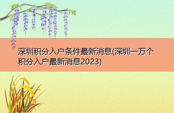 深圳积分入户条件最新消息(深圳一万个积分入户最新消息2023)