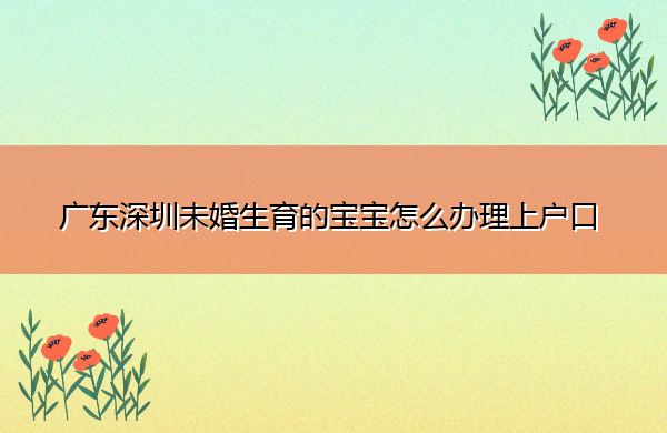 广东深圳未婚生育的宝宝怎么办理上户口