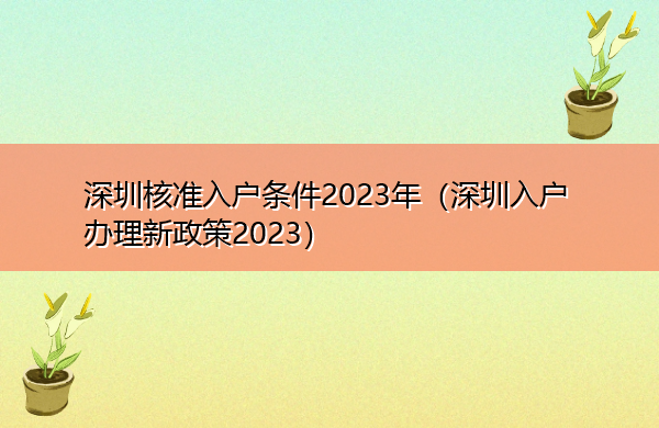 深圳核准入户条件2023年(深圳入户办理新政策2023) 深圳核准入户条件2023年(深圳入户办理新政策2023)