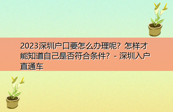 2023深圳户口要怎么办理呢?怎样才能知道自己是否符合条件? 2023深圳户口要怎么办理呢?怎样才能知道自己是否符合条件?