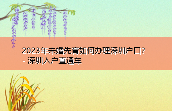 2023年未婚先育如何办理深圳户口? 2023年未婚先育如何办理深圳户口?